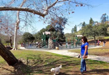 2331_brookhaven_pass-vista_1494694331