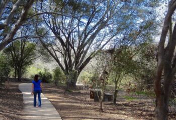 2331_brookhaven_pass-vista_1494694344